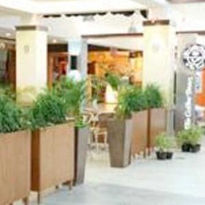 Landscape & Gardening